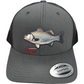 Striped Bass Patch Hat